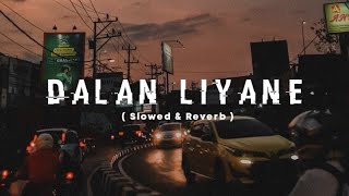 Dalan Liyane Slowed amp Reverb [upl. by Whalen]