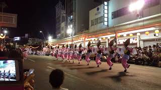 도쿠시마현 2017년 아와오도리 마츠리 축제 [upl. by Arick]