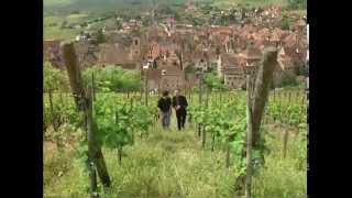 Discover the Wines of Alsace [upl. by Eidoc44]