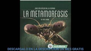 La MetamorfosisaudiolibroFranz Kafka [upl. by Dielle]