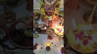 Tulasi habba pooje 🙏tulasipooja tulasivivah vishnu tulasihabba [upl. by Jesh726]