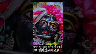 Sakoon ka phala naam ho tum Krishna harekrishna ✨🙏 [upl. by Enale]