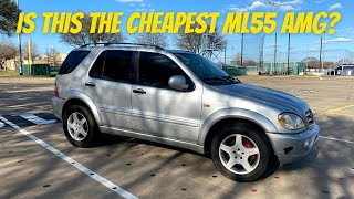 IS THE MERCEDES ML55 AMG REALLY THE ALABAMA TRASH CAN [upl. by Airtina381]