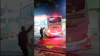 Hunting Malam Bus Somple basuri teloletbasuri huntingbus [upl. by Ellennahs858]