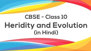 Heredity amp Evolution Hindi  Class 10 X Science CBSE [upl. by Cotter]