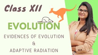 Evolution  Evidences of Evolution amp Adaptive Radiation  HINDI NCERT [upl. by Namialus]