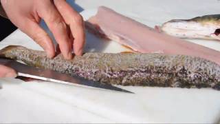 Hecht filetieren  How to filet pike or jackfish [upl. by Bergerac]