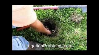 How To Adjust Sprinkler Head [upl. by Mallina655]