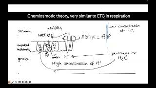 A Level AQA OCR A Biology Respiration amp Photosynthesis  Free Lessons by MyUCAT [upl. by Esinned]