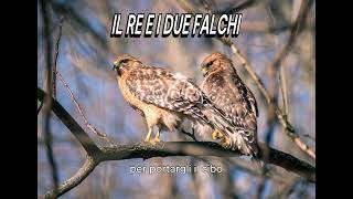 Il re e i due falchi [upl. by Rocher]