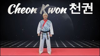 CheonKwon Poomsae [upl. by Dressler]