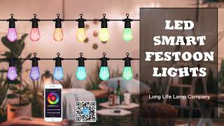 Outdoor LED Smart Festoon Lights RGB App Controlled Colour Changing WFFL01 [upl. by Rhoades589]