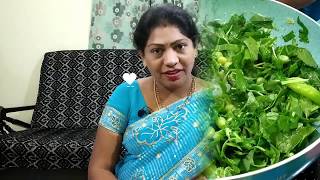 Aakukooralatho Samalu Rice  song with recipe ఆకుకూరలతో సామలు రైస్ [upl. by Ynelram]