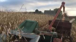 New Idea 324 picker with sheller  2016 corn harvest [upl. by Llednik]