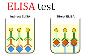 ELISA test [upl. by Nnod]