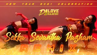 Sekka Sevantha Pazham Remix  Dj Love Rajesh  Dance Songs [upl. by Niasuh700]