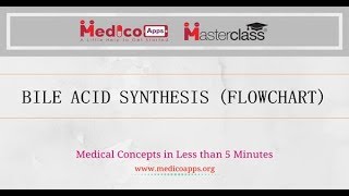 BILE ACID SYNTHESIS [upl. by Yenahpets]