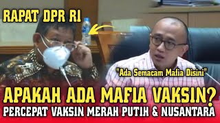 Penyebab Vaksin Merah Putih dan Nusantara Terhambat [upl. by Erny]