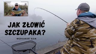 Szczupaki w MGLISTY poranek Jak zlowic szczupaka [upl. by Trina]