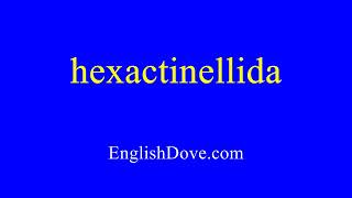 How to pronounce hexactinellida in American English [upl. by Bortz]