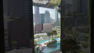 판 퍼시픽 오차드 싱가포르 Pan Pacific Orchard Singapore [upl. by Boylston]