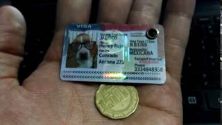 Ife Ine Para Perros Visa para perros EDEEN PETS [upl. by Hootman]