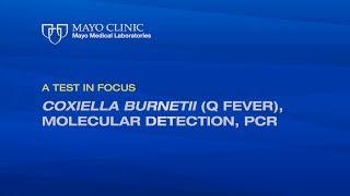 A Test in Focus Coxiella burnetii Q Fever Molecular Detection PCR [upl. by Sihonn]