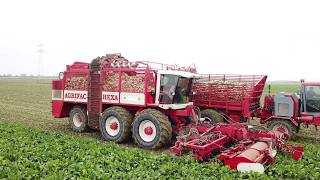 12 row Sugarbeet Harvesting 4K The Netherlands  AGRIFAC HEXA [upl. by Emmer989]