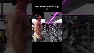 Larry Mogger Wheels☠️ togi larrywheels gym bodybuilding gymlife gymworkout gymshorts [upl. by Dennis486]