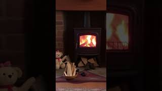 Warming the Home with a Wood Heater Relaxing soundsshorts asmr whitenoise [upl. by Keelia]