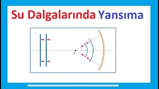 Su Dalgalarının Küresel Yüzeyden Yansıması  Simülasyon  PDF [upl. by Raddatz]