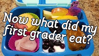 Sixth week of school lunches First Grade Lunches [upl. by Enigroeg266]