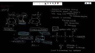 Glicolisi step 1 BIOCHIMICA [upl. by Nagey]