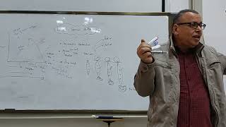 12 Relation between muscle lengthtension amp velocity of contraction Part II [upl. by Iana]