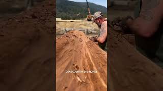 Western Red Cedar Character Logs being peeled chiseled and cleaned in preparation for the building [upl. by Sikleb]