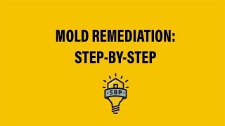 SBP StepbyStep Mold Remediation Guide [upl. by Radloff]