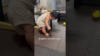 【生後8ヶ月】自力で座ろうと頑張るベビさんが可愛すぎる。baby 女の子baby 赤ちゃんおもしろ動画 赤ちゃんのいる生活 赤ちゃん 8ヶ月ベビー かわいい つかまり立ち [upl. by Mulloy527]