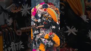 Jai Shree Radhe Krishna 🙏🌹🥰 radheradhe radheshyam vrindavan shorts youtubeshorts [upl. by Mcmath]