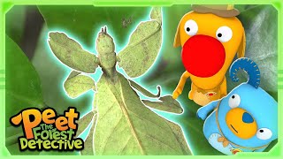 Whats Inside the Mystery Flower 🌸❓ Animal Stories For Kids  Peet The Forest Detective [upl. by Audi638]