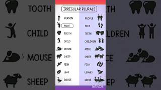 Irregular Plural  Spoken English  Daily use words [upl. by Enrica]