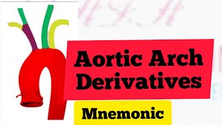 Aortic Arches Derivatives Mnemonic  MedSurvival [upl. by Chitkara]