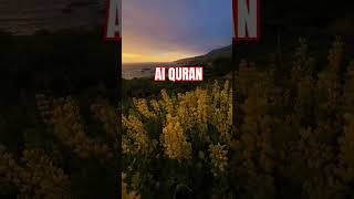 Al Quran Kreem Urdu Translation quran shorts translation [upl. by Sirron]