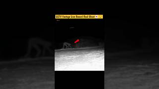 Real Ghost Record in CCTV Footage 👻😱 ghost cctv shorts [upl. by Gardner911]