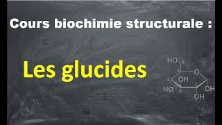 cours biochimie structurale les glucides partie 5 [upl. by Anivla]