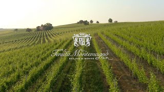 Video Cantina Tenuta Montemagno 2021 [upl. by Haslam]