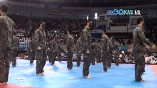 Taekwondo display by the Korean army at the 2013 Hammadang [upl. by Hecklau]