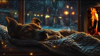 Energetic Puppies at Play  Peaceful Relaxation Ambiance with Calming Classical Music for Dogs [upl. by Constant842]