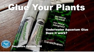 Flourish Glue for Plants Fincasters Episode 156 [upl. by Dubenko]