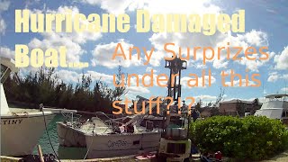 2 Sailing Catamaran Is there hope after the Hurricane [upl. by Redwine229]