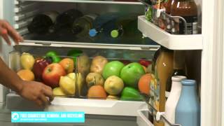 Fisher amp Paykel E442BRE5 442L Fridge appliance overview by product expert  Appliances Online [upl. by Aisela49]